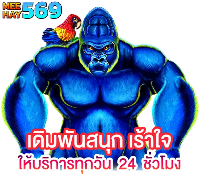MEEHAY569 เว็บสล็อตแตกแรง