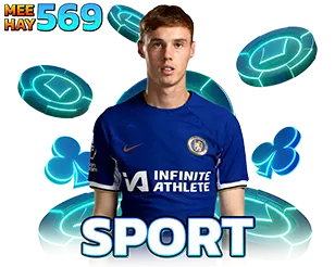 แทงบอลออนไลน์ MEEHAY569 พนันกีฬา