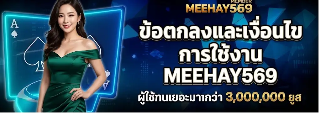 ข้อตกลงและเงื่อนไขการใช้งาน MEEHAY569