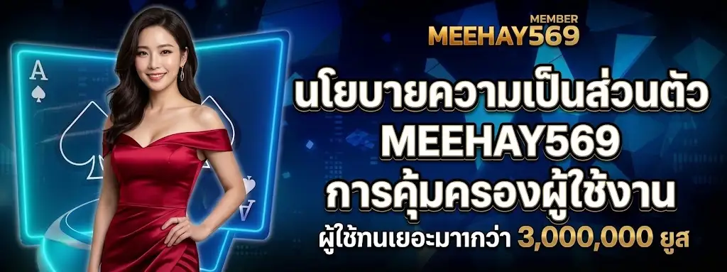นโยบายความเป็นส่วนตัว MEEHAY569 การคุ้มครองผู้ใช้งาน